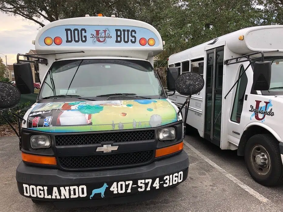 doglando dog bus doglando dog bus