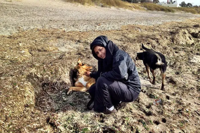 teena-with-dogs Teena with street dogs