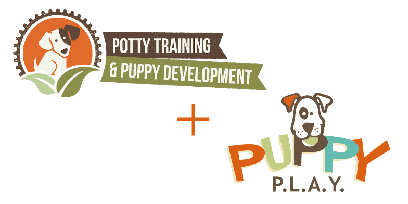 PTPD+Puppy PLAY _horiz PTPD+Puppy PLAY