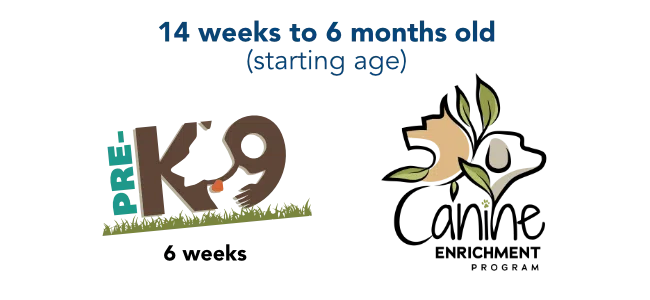 PreK9 to Enrichment banner