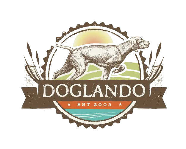 dog training and boarding in Orlando