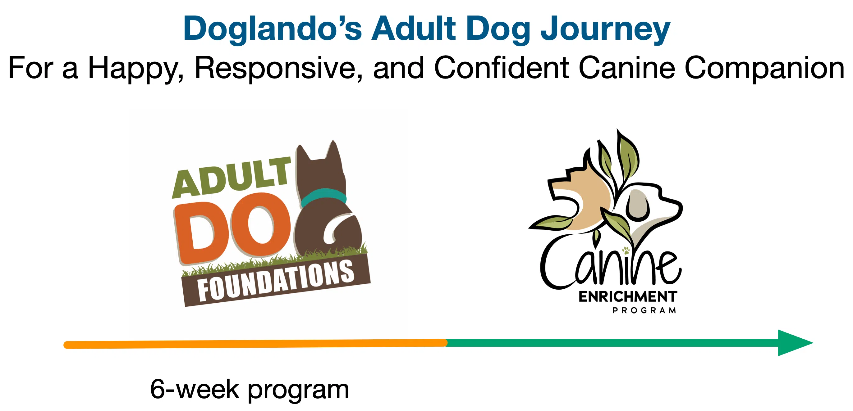 Adult Dog Learning Journey